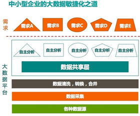 沼澤里的掘金術 大數據時代數據資產管理五星模型