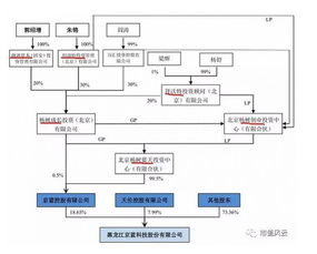 300萬控股百億上市公司,暗度陳倉規(guī)避借殼紅線