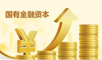 資本和資產(chǎn)的區(qū)別