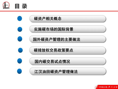 碳資產管理 概念 背景 政策 實操案例 試點情況 ppt分享