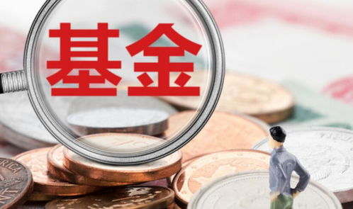 金融資金平臺有哪些 以下公司表現較為突出