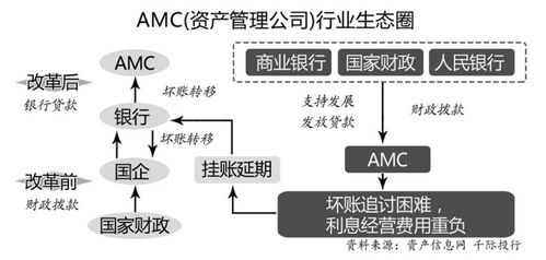 金融穩定制度架構下發揮資產管理公司作用的思路及建議 首席觀點
